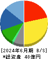 ｇｏｏｄｄａｙｓホールディングス 貸借対照表 2024年6月期