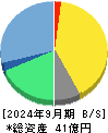 ＡＩフュージョンキャピタルグループ 貸借対照表 2024年9月期