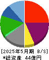 鉄人化ホールディングス 貸借対照表 2025年5月期