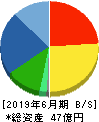 ナガオカ 貸借対照表 2019年6月期 ナガオカ 貸借対照表 2019年6月期