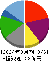 一家ホールディングス 貸借対照表 2024年3月期 一家ホールディングス 貸借対照表 2024年3月期