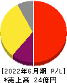 アイキューブドシステムズ 損益計算書 2022年6月期 アイキューブドシステムズ 損益計算書 2022年6月期