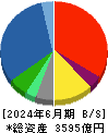 ＫＰＰグループホールディングス 貸借対照表 2024年6月期