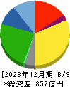 日産東京販売ホールディングス 貸借対照表 2023年12月期