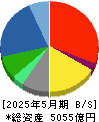 ビックカメラ 貸借対照表 2025年5月期