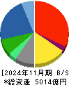 ビックカメラ 貸借対照表 2024年11月期