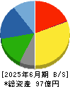 デルソーレ 貸借対照表 2025年6月期