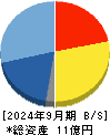 Ｒｅｃｏｖｅｒｙ　Ｉｎｔｅｒｎａｔｉｏｎａｌ 貸借対照表 2024年9月期