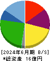 マイクロ波化学 貸借対照表 2024年6月期