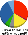 東邦ホールディングス 貸借対照表 2024年12月期