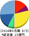 フォーシーズＨＤ 貸借対照表 2024年6月期
