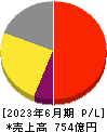 グリーホールディングス 損益計算書 2023年6月期 グリーホールディングス 損益計算書 2023年6月期