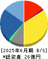 シリウスビジョン 貸借対照表 2025年6月期