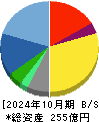 テンポスホールディングス 貸借対照表 2024年10月期
