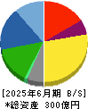 セントケア・ホールディング 貸借対照表 2025年6月期