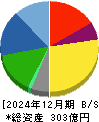 セントケア・ホールディング 貸借対照表 2024年12月期