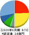 日本情報クリエイト 貸借対照表 2020年6月期