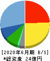 日本情報クリエイト 貸借対照表 2020年6月期 日本情報クリエイト 貸借対照表 2020年6月期
