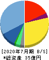 SYSホールディングス 貸借対照表 2020年7月期 SYSホールディングス 貸借対照表 2020年7月期