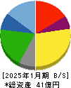 ＮＡＴＴＹ　ＳＷＡＮＫＹホールディングス 貸借対照表 2025年1月期
