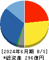 南海辰村建設 貸借対照表 2024年6月期