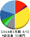 ファブリカホールディングス 貸借対照表 2024年3月期 ファブリカホールディングス 貸借対照表 2024年3月期