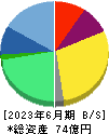 ＳＭＮ 貸借対照表 2023年6月期