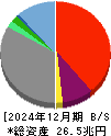 楽天グループ 貸借対照表 2024年12月期
