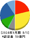 ｇｏｏｄｄａｙｓホールディングス 貸借対照表 2024年9月期