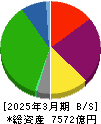 相鉄ホールディングス 貸借対照表 2025年3月期