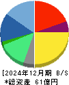 バルテス・ホールディングス 貸借対照表 2024年12月期