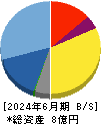 ビーマップ 貸借対照表 2024年6月期
