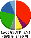 サニックス 貸借対照表 2022年3月期 サニックス 貸借対照表 2022年3月期