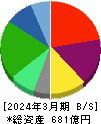 メディカルシステムネットワーク 貸借対照表 2024年3月期 メディカルシステムネットワーク 貸借対照表 2024年3月期