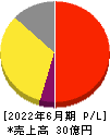 日本情報クリエイト 損益計算書 2022年6月期