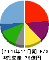 串カツ田中ホールディングス 貸借対照表 2020年11月期
