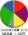 日本製紙グループ本社 貸借対照表 2009年3月期 日本製紙グループ本社 貸借対照表 2009年3月期
