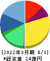 アビックス 貸借対照表 2022年3月期 アビックス 貸借対照表 2022年3月期
