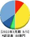 ダブルスタンダード 貸借対照表 2022年3月期 ダブルスタンダード 貸借対照表 2022年3月期