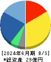 ＧＭＯリサーチ＆ＡＩ 貸借対照表 2024年6月期