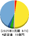 メドレックス 貸借対照表 2025年3月期