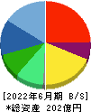 タウンズ 貸借対照表 2022年6月期 タウンズ 貸借対照表 2022年6月期