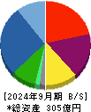 アンビションＤＸホールディングス 貸借対照表 2024年9月期