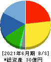 メイホーホールディングス 貸借対照表 2021年6月期 メイホーホールディングス 貸借対照表 2021年6月期