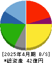 ＮＡＴＴＹ　ＳＷＡＮＫＹホールディングス 貸借対照表 2025年4月期