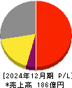 ソリトンシステムズ 損益計算書 2024年12月期