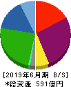 テスホールディングス 貸借対照表 2019年6月期