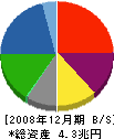 新日本石油 貸借対照表 2008年12月期