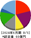 一家ホールディングス 貸借対照表 2024年6月期