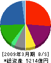 マルハニチロホールディングス 貸借対照表 2009年3月期